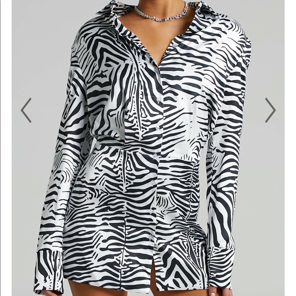 Lioness Zebra Dress